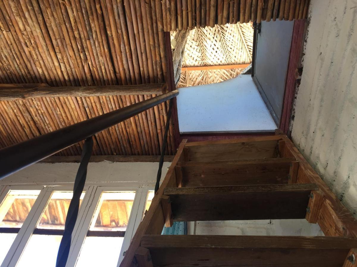 Casa Barca Pansiyon Taganga Dış mekan fotoğraf